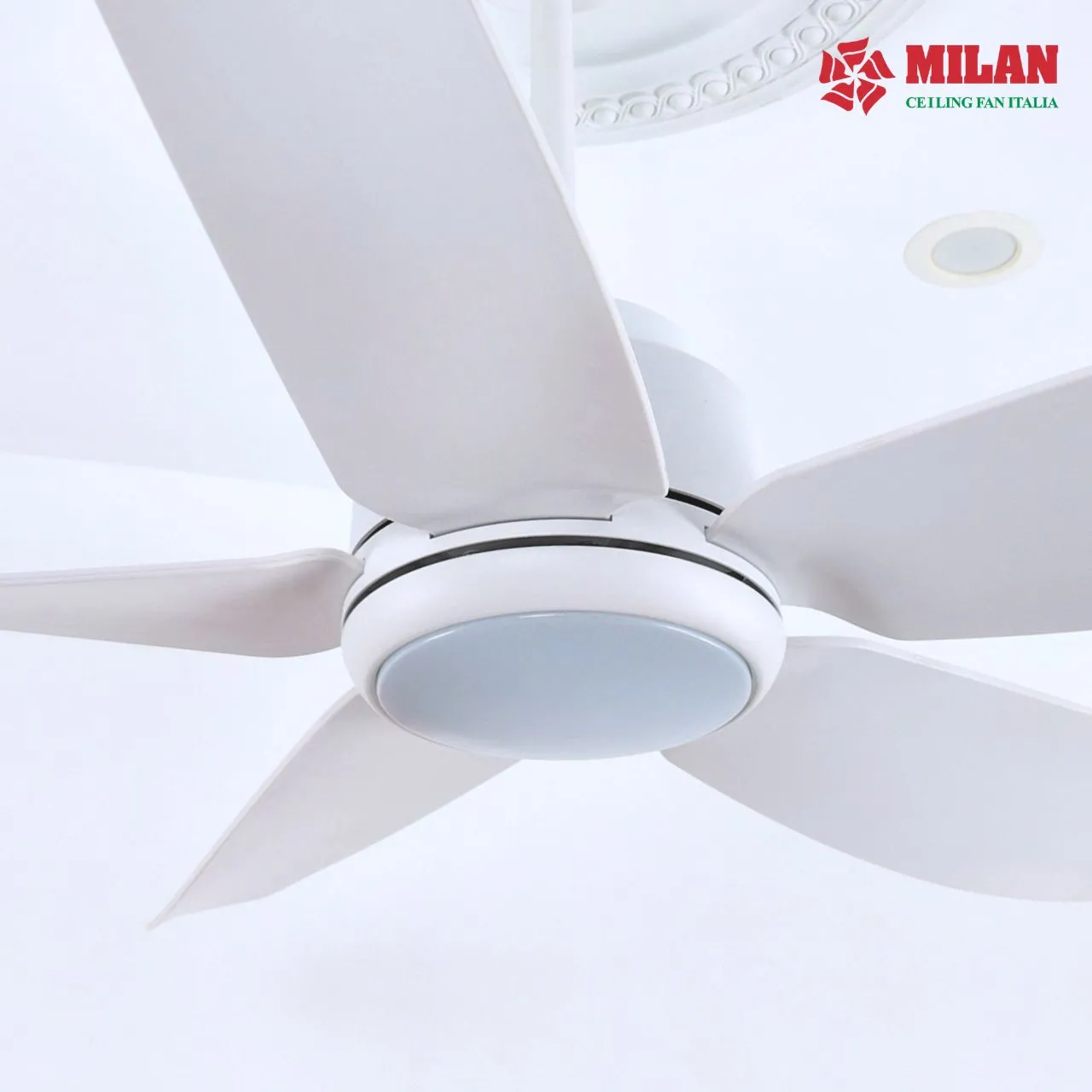 Quạt trần FY568 màu trắng đa dạng tính năng.